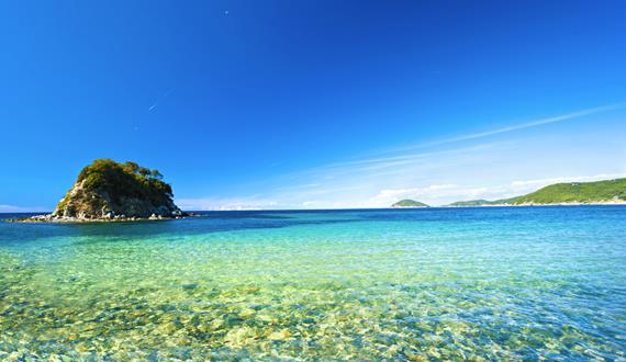 Elba Island
